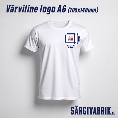 VÄRVILINE A6-01.jpg (102 KB)